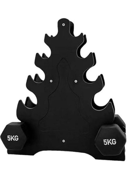 Fitness Dambıl Rack Standı (Ağırlıksız) modelleri