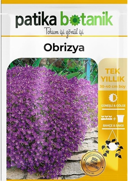 Botanik 100 Adet Obrizya Çiçek Tohumu (Aubrieta) fiyatları