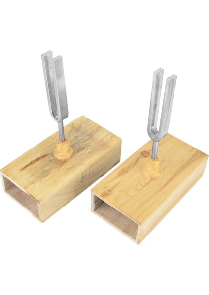 2 Adet Ahşap Rezonatör Kutusu ile Çatal Ayarlama Kutusu, 440Hz Virbration 1 Adet ile Deneysel Alet 1 Adet Ayar Çatal Nakliye (Yurt Dışından) indirimleri