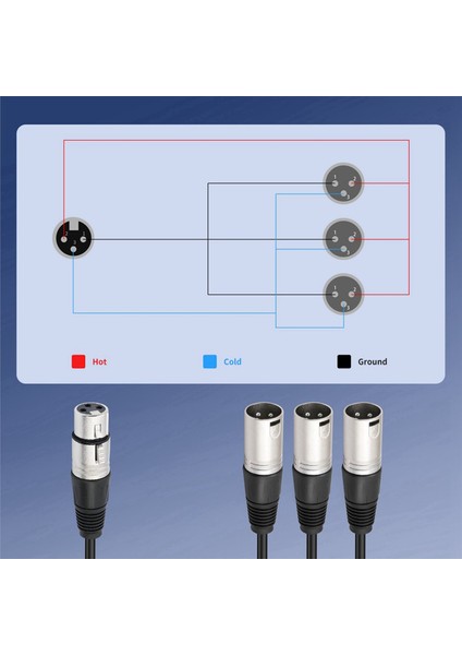 2x 3pin Xlr Dişi 3 Erkek Y Splitter Kablo 3 Yollu Xlr Splitter Kablo Mikser Mikrofon Için (Yurt Dışından) indirimleri