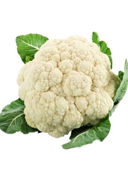 (Çoklu Tohum) - 5 Gram