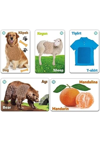 Hisset Tanı Eğitim Kartları, Zeka Kartları fırsatları