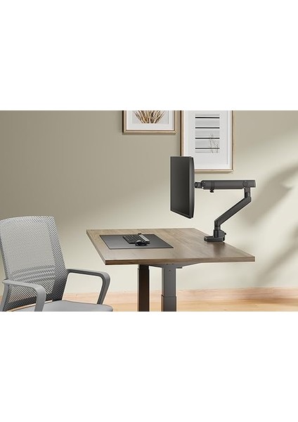 Monitör Tutucu 17" - 35" Ekranlar Için 12KG Taşıyabilir, LCD LED Vesa Kolları, Eğilebilir Döndürülebilir Kablo Kılavuzlu Ergonomik Ekran Tutucu - Siyah fırsatları