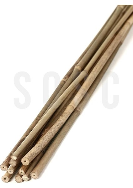 cm Doğal Bambu Bitki Destek Çubuğu 10 Adet 5-10 mm fiyatları