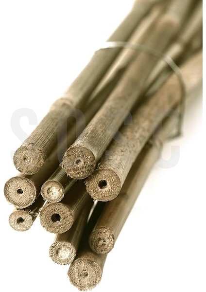 cm Doğal Bambu Bitki Destek Çubuğu 10 Adet 5-10 mm modelleri