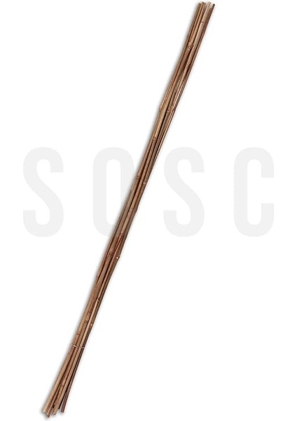 cm Doğal Bambu Bitki Destek Çubuğu 10 Adet 5-10 mm fırsatları