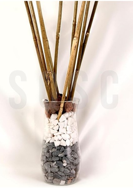 cm Doğal Bambu Bitki Destek Çubuğu 10 Adet 5-10 mm indirimleri