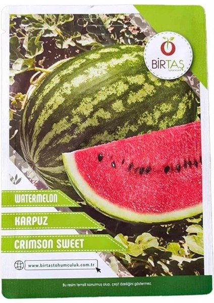 Karpuz (Crimson Sweet) Tohumu