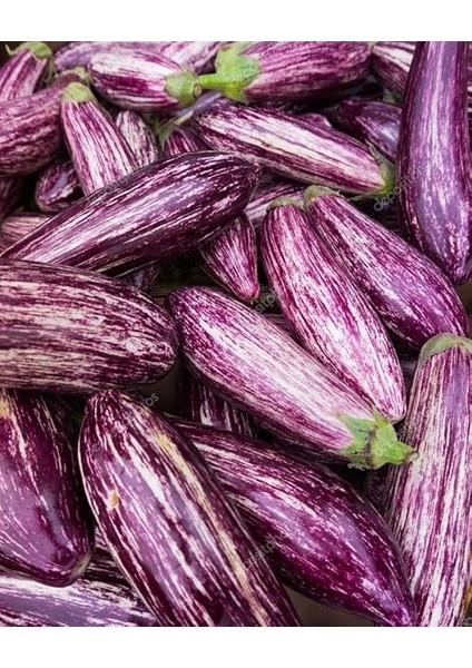 Tarım Yöresel Doğal Çizgili Patlıcan 100 Adet Tohum modelleri