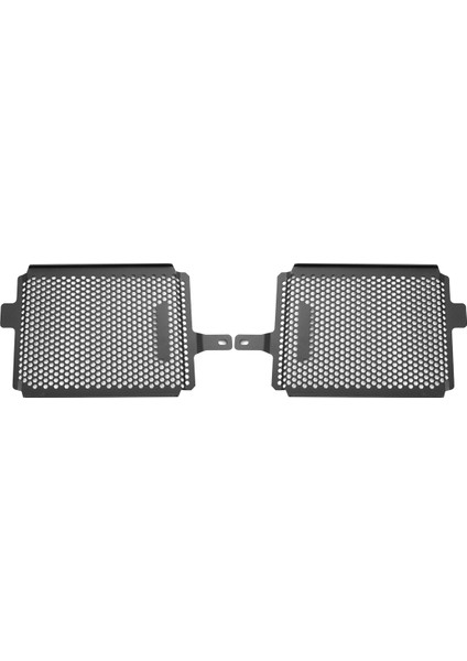Motosiklet Radyatörü Grille Guard Su Depk Kapağı Bmw R1250GS Için Koruyucu Adv R1200GS Avansta 2019-2021 (Yurt Dışından)