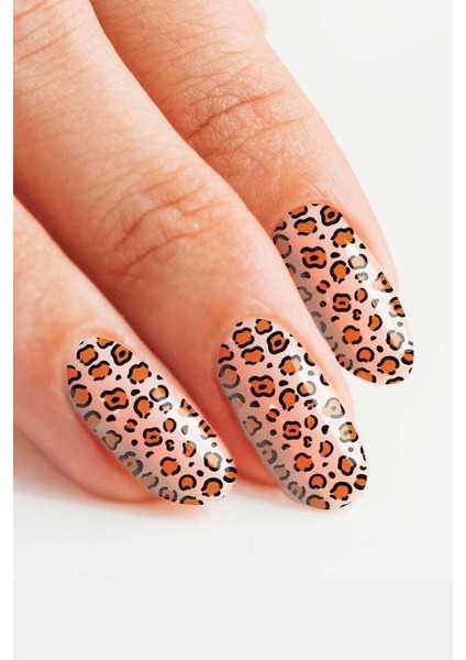 Leopar Tırnak Dövmesi modelleri