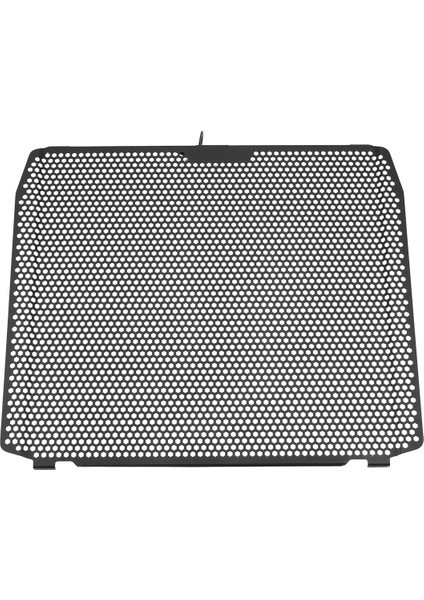 Kawasaki Zh2 Z H2 H2SX Nınja H2 R H2R Sx Se Için Motosiklet Radyatör Koruma Motoru Soğutucu Grille Kapak Koruması (Yurt Dışından)