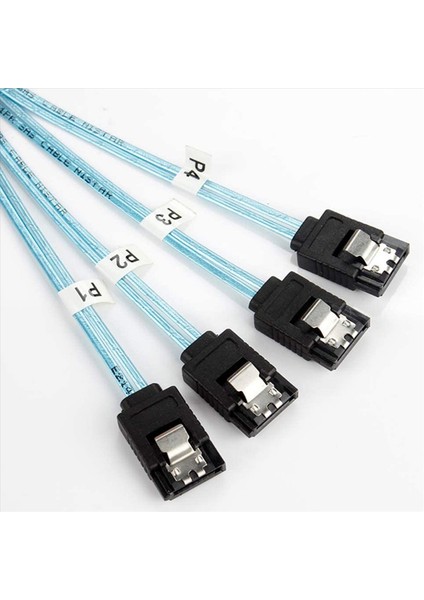 4x Dahili Mini Sas - Sata Kablosu SFF-8643 - Raid Denetleyici Sabit Sürücüsüyle Uyumlu Sata Ileri Koparma (3 3ft) (Yurt Dışından) modelleri