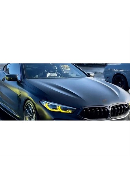 Bmw 8 Serisi G14 G15 F91 F92 F93 M8 G16 63119498650 Için Drl Pcb Tahtaları Gündüz Koşu Işıkları Chıp LED Modülleri (Yurt Dışından) modelleri