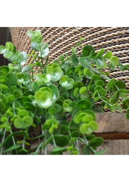 Yapay Çiçek Sarkan Şimşir Okaliptus Yapay Sarmaşık fiyatları