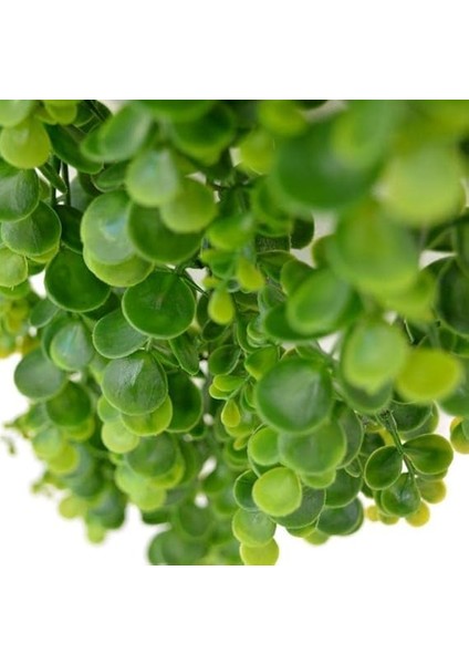 Yapay Çiçek Sarkan Şimşir Okaliptus Yapay Sarmaşık fırsatları