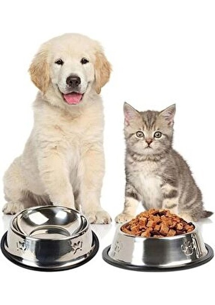 Dayanıklı Dream Plus 22 cm Paslanmaz Çelik Mama Kabı Büyük Boy Evcil Hayvanlar İçin Güvenli Kullanım