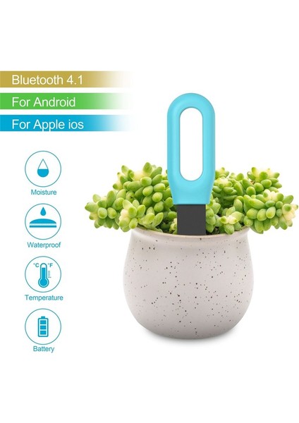 2pcs Tava Bt 2 1 Kablosuz Toprak Nem Metre Bitkisi Toprak Sıcaklığı Nemi Monitör Saksı Bitki Ölçüm Cihazı (Yurt Dışından) fırsatları