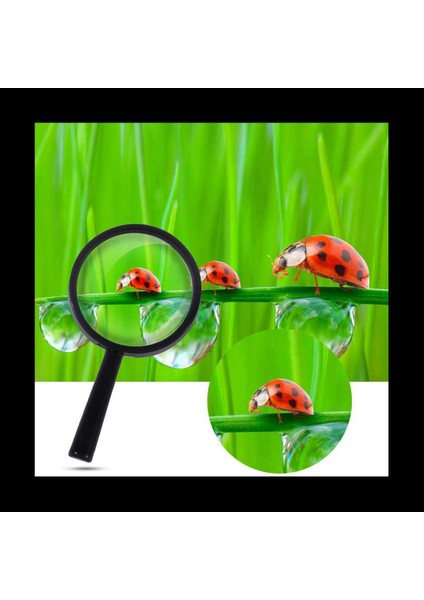 Çocuklar Büyüteç Cam 40 Adet Plastik El Tipi Mini Taşınabilir Büyüteç Küçük Çocukları Büyüteç Için Oyuncaklar Explorer (Yurt Dışından) indirimleri