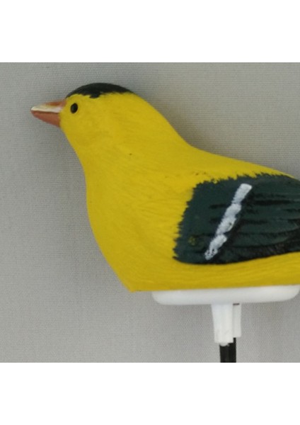 2x Toprak Nem Metre Sulama Alarm Kuş Bitkisi Su Test Cihazı Higrometre Sensör Bahçecilik Aracı Kiti (Sarı) (Yurt Dışından) modelleri