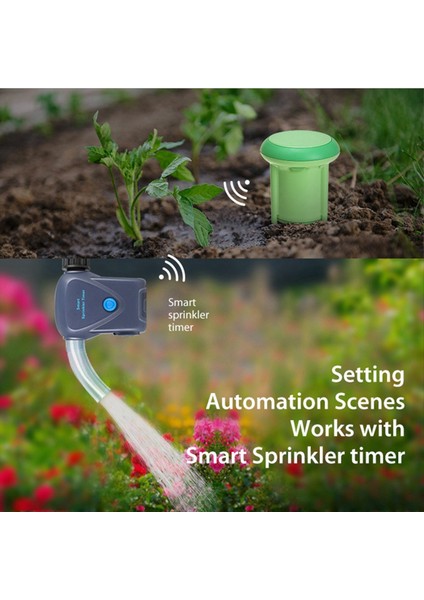 Tuya Zigbee Toprak Nemi Ölçer Sıcaklık Nem Test Cihazı Bitki Monitörü Bahçe Dikimi Için Su Geçirmez Dedektörü (Yurt Dışından) indirimleri
