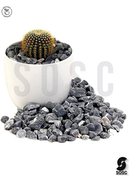 Çakıl Taşı Dolomit Taşı Bahçe Süsü Akvaryum Taşı Dere Çakıl Taşı 1-2 cm 3 kg fırsatları