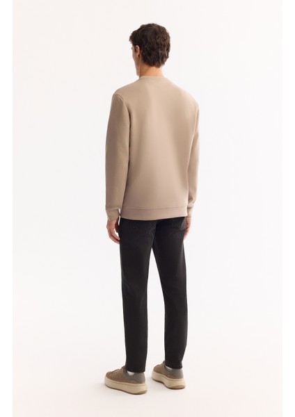 Erkek Vizon Bisiklet Yaka Pamuklu Bi-Stretch Baskılı Regular Fit Sweatshirt A52Y1289