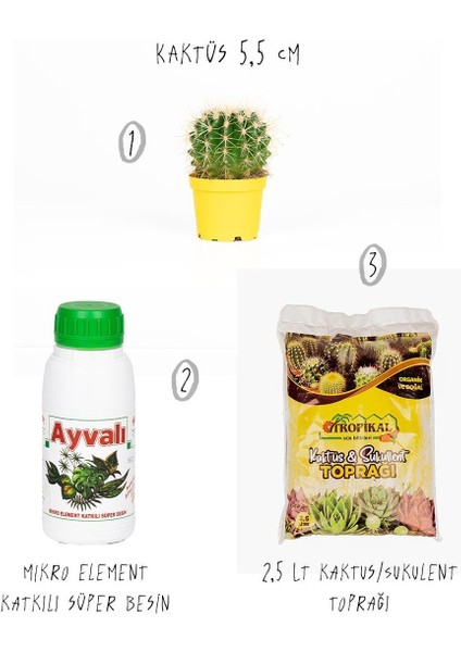 3'lü Set - Kaktüs 5,5 cm - Kaktüs/sukulent Besini - Kaktüs/sukulent Toprağı 2,5 Lt fiyatları