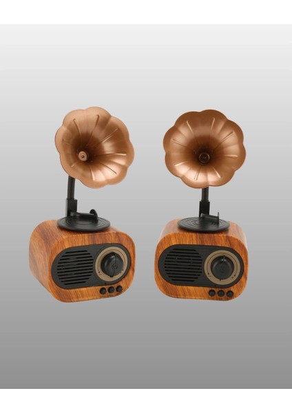 Buğz Taşınabilir Mini Retro Radyo Bluetooth Hoparlör USB Sd Aux Destekli fiyatları