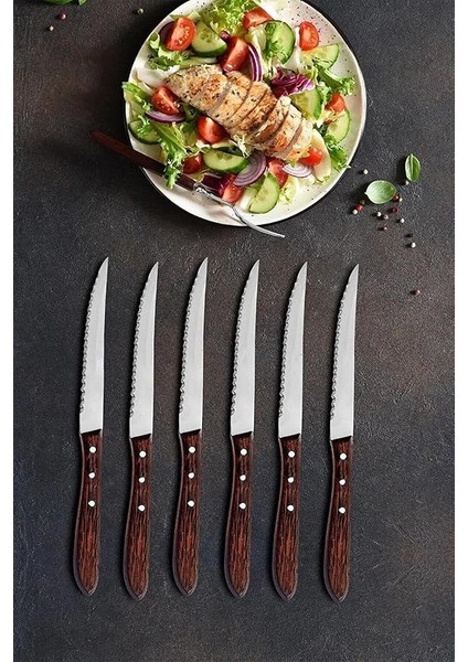 Home Steak Et Bıçak Mutfak Bıçak Seti Restoran Et Kesme Doğrama Meyve Sebze Bıçak Şık Venge 6 Adet
