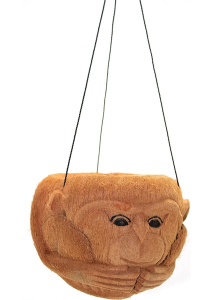 Coconat Çiçeklik Maymun Tasarımlı