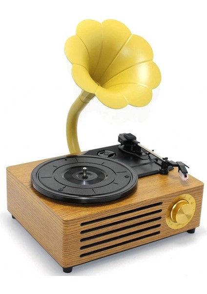 Ahşap Pikap Plak Çalar LIV287