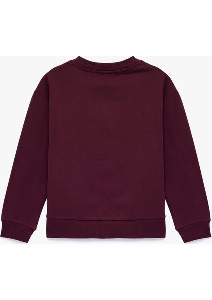 Pamuklu Uzun Kollu Bisiklet Yaka Ayıcık Baskılı Sweatshirt fiyatları