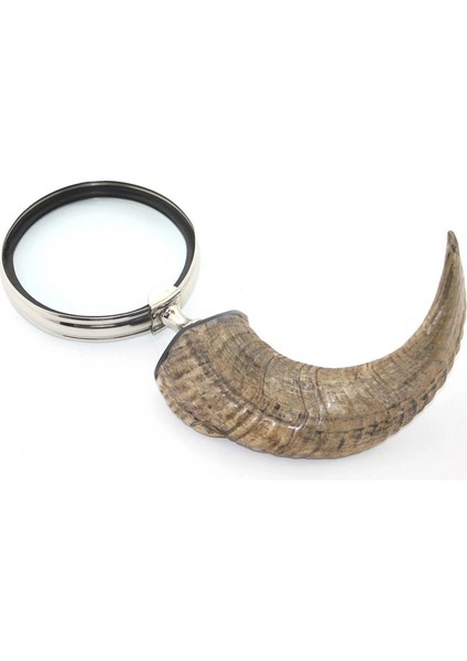 Boynuz Büyüteç LIV2069