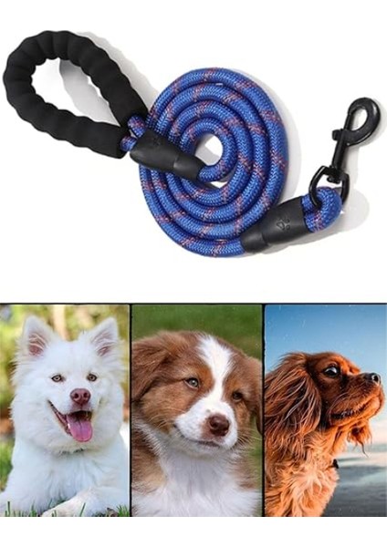 Evcil Hayvan Reflektörlü Fitil Gezdirme Tasması 12 mm x 120 cm indirimleri