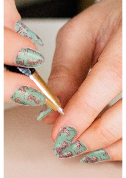 Kaplan -2 Desenli Tırnak Dövmesi modelleri