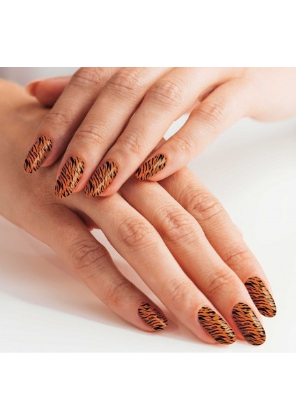 Renkli Zebra Tırnak Dövmesi