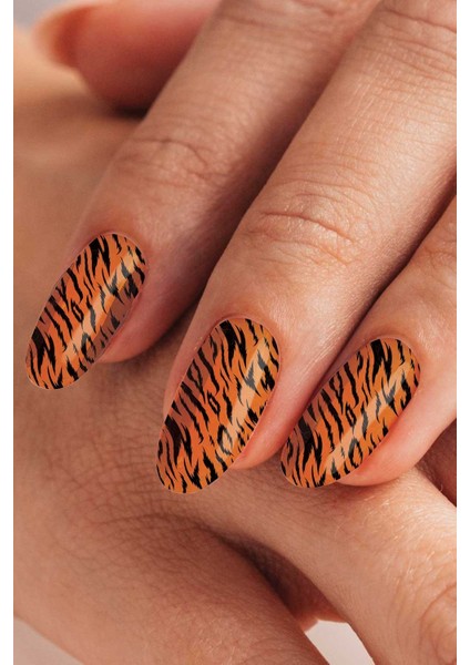 Renkli Zebra Tırnak Dövmesi modelleri