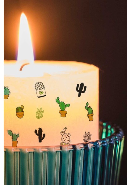 Kaktüs Tırnak Dövmesi fırsatları