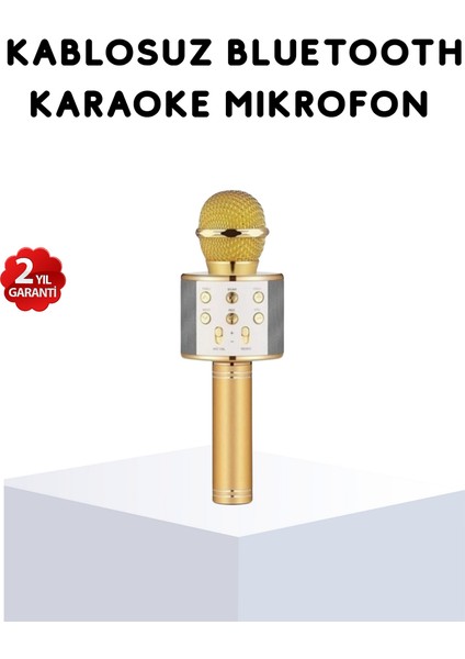 Lzrdwzrd Karaoke Mikrofonu Bluetooth USB Aux Girişli Yankı Efektli