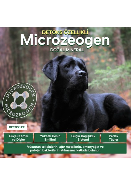 Nature's Protection Superior Care Koyu Renk Tüylü Köpekler Için Kümes Hayvanlı Tüm Irklar Için Yetişkin Köpek Maması 1.5kg fiyatları