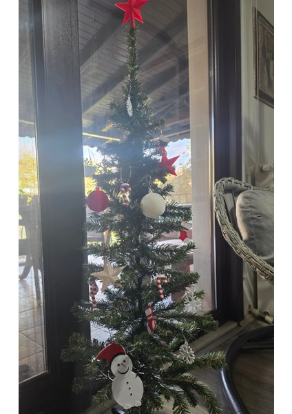 Çam Ağacı Süsü -18 Adet Elegant Obje-Toplarkar Taneleri