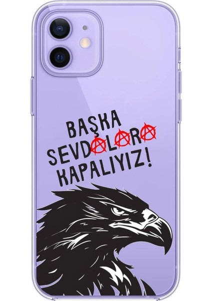 Iphone 12 & Iphone 12 Pro Uyumlu Desenli Şeffaf Silikon Kılıf modelleri
