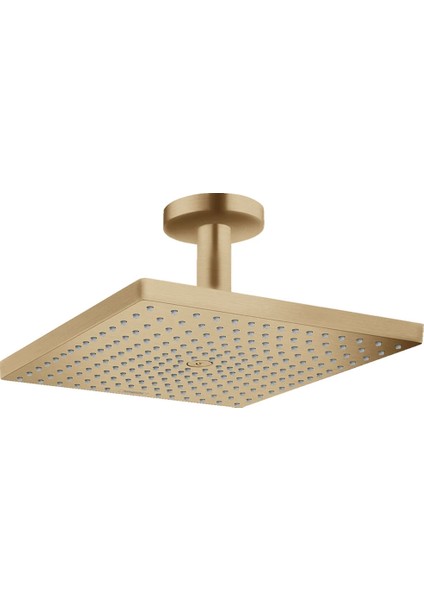 Raindance E Tepe Duşu 300 1 Jet, Tavan Bağlantısı ile 26250140