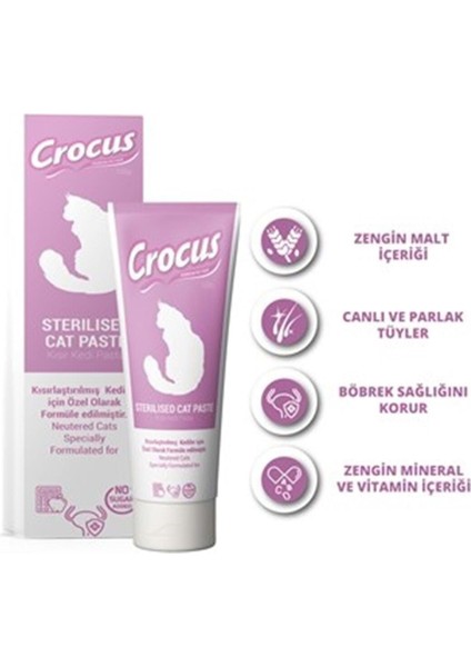 Kedi Sterilised Malt Macunu 100 Gram fırsatları