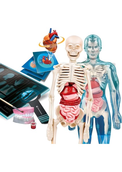 Süper Anatomi fiyatları