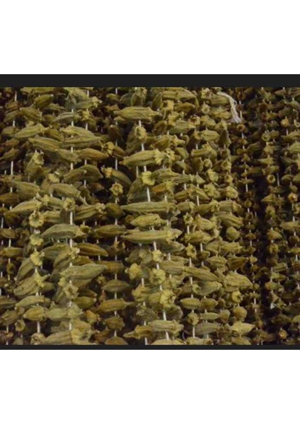 Kuru Bamya Iri Taneli 100 gr