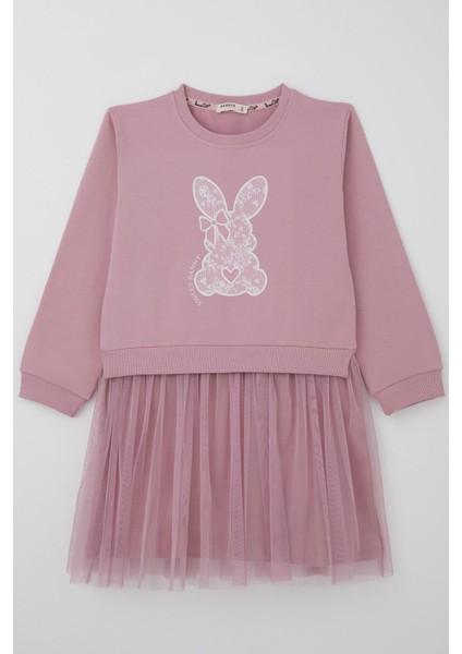 Kız Çocuk Uzun Kollu Elbise Sevimli Fiyonklu Kalpli Tavşancık Baskılı 4-9 Yaş, Gülkurusu