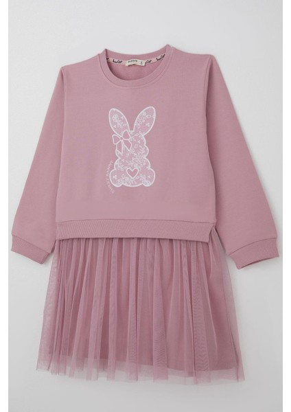 Kız Çocuk Uzun Kollu Elbise Sevimli Fiyonklu Kalpli Tavşancık Baskılı 4-9 Yaş, Gülkurusu modelleri