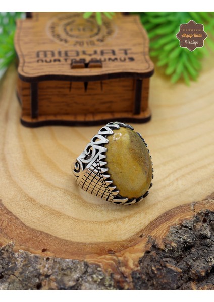 Septeryan Taşı Sarmaşık Model 925 Ayar Gümüş Erkek Yüzük 201024804 fiyatları